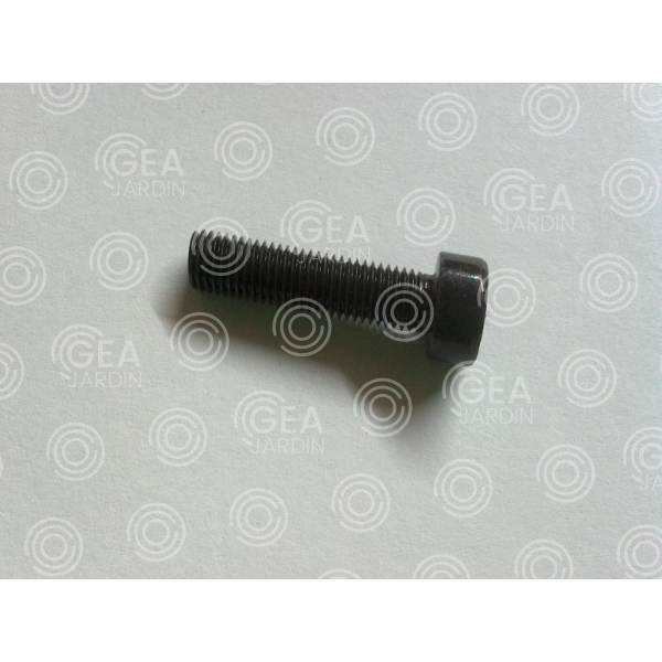 TORNILLO