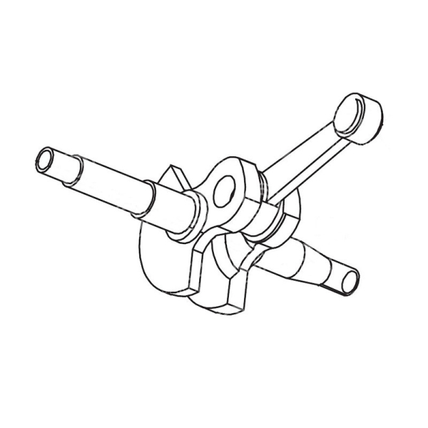 CIGUEÃ‘AL
