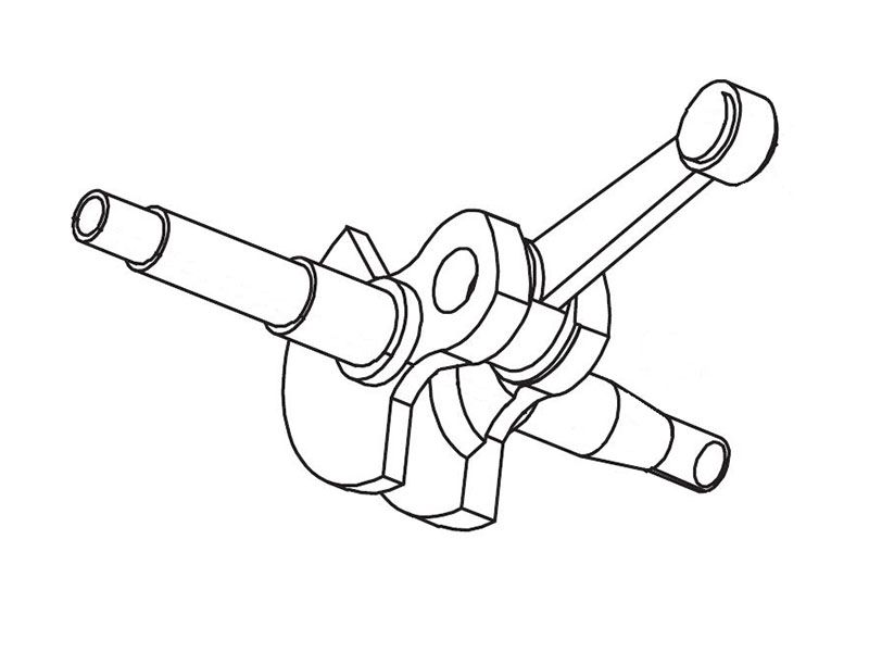 CIGUEÃ‘AL