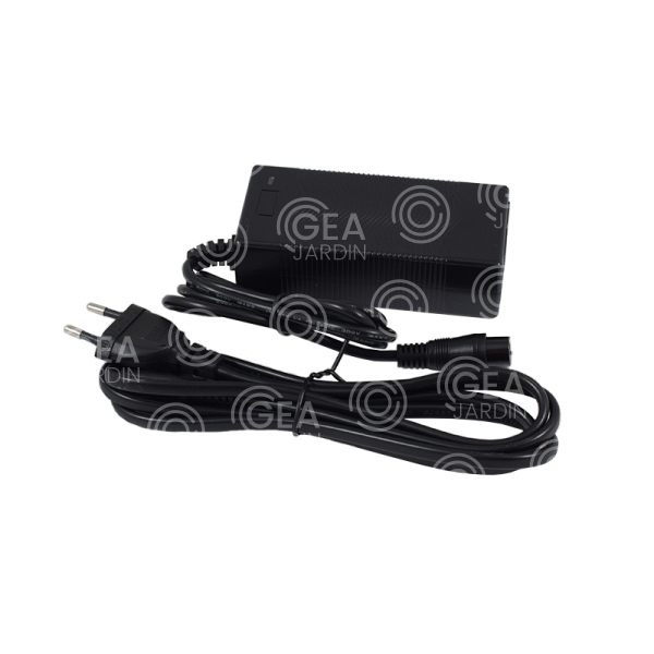 CARGADOR 36V