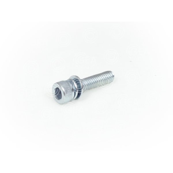 TORNILLO 6X14