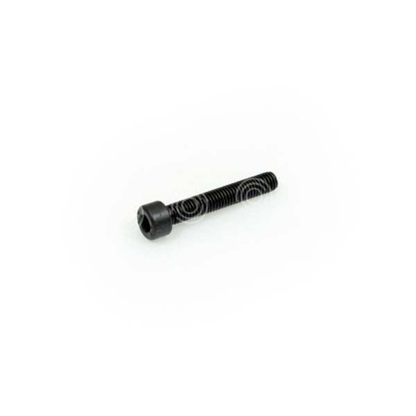 TORNILLO M5X30