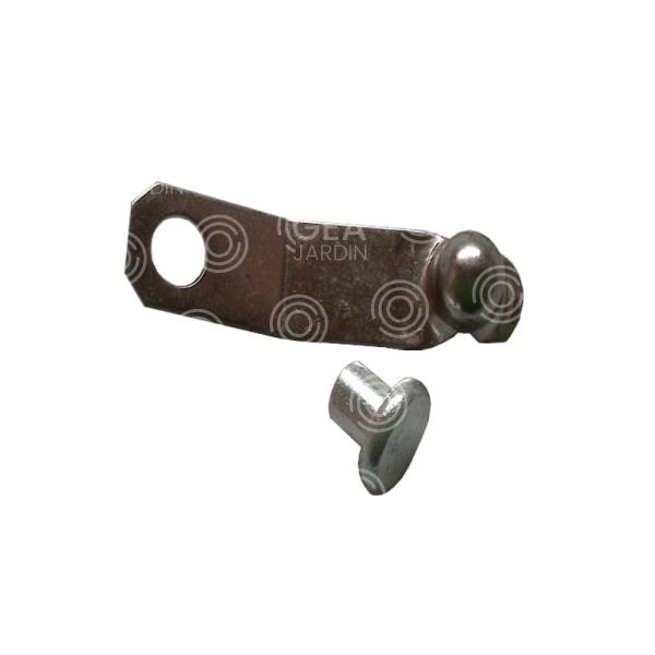 CLIP