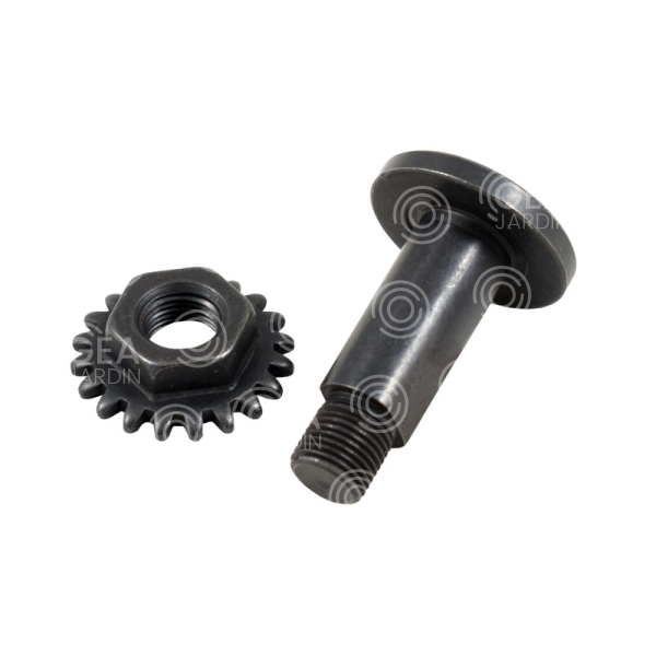 RECAMBIO [V02 fig: 2]