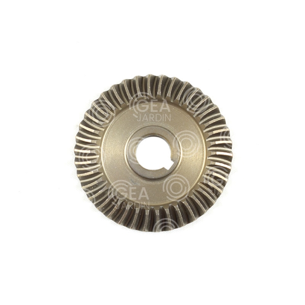 CORONA DENTADA [V02 fig:19] [V01 fig:20]