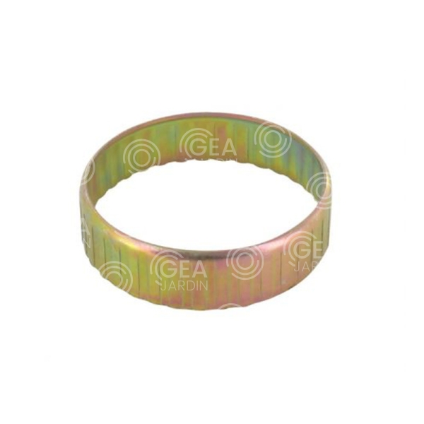 ANILLO
