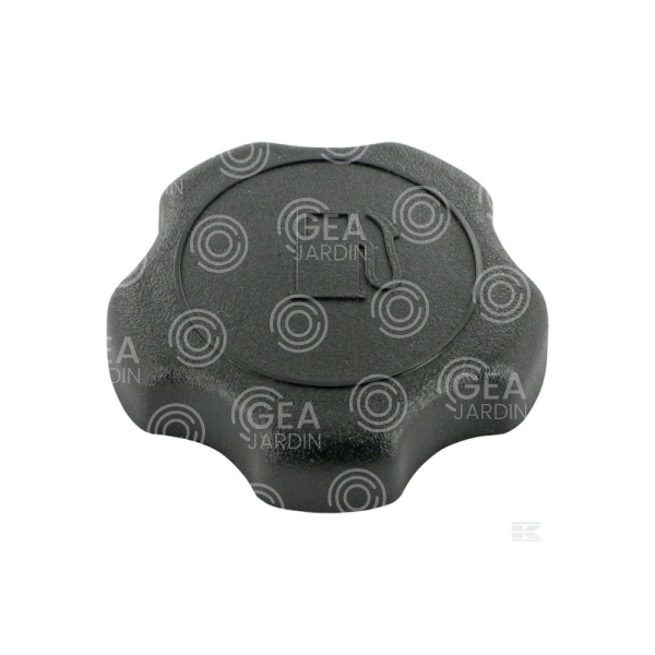 TapÃ³n de combustible BRIGGS & STRATTON / 20