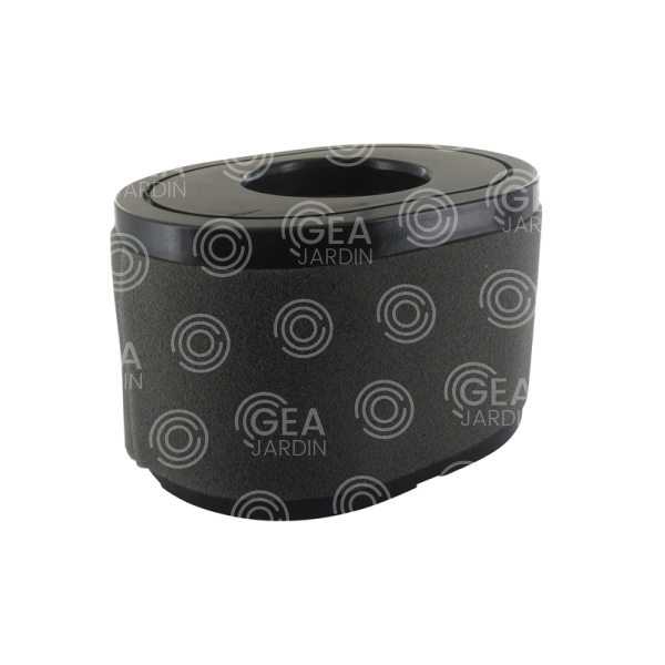 FILTRO DE AIRE LONCIN, LC2P77F