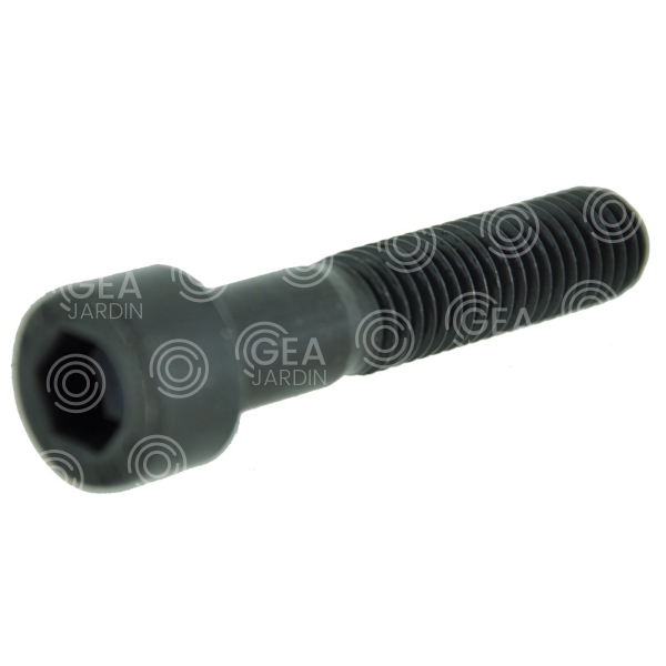 TORNILLO