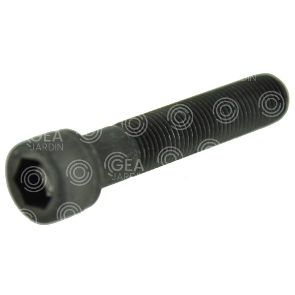 TORNILLO