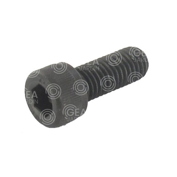TORNILLO