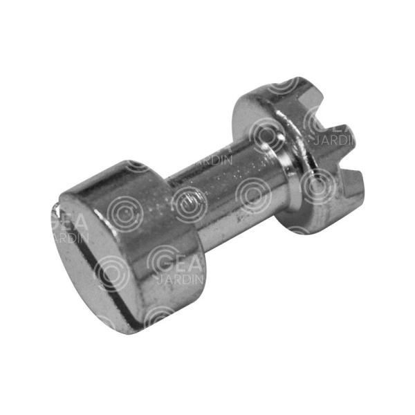TORNILLO