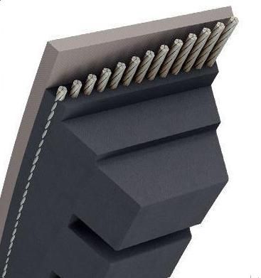 CORREA TRAPEZ.MUESCAS - 13X8MM - AX41