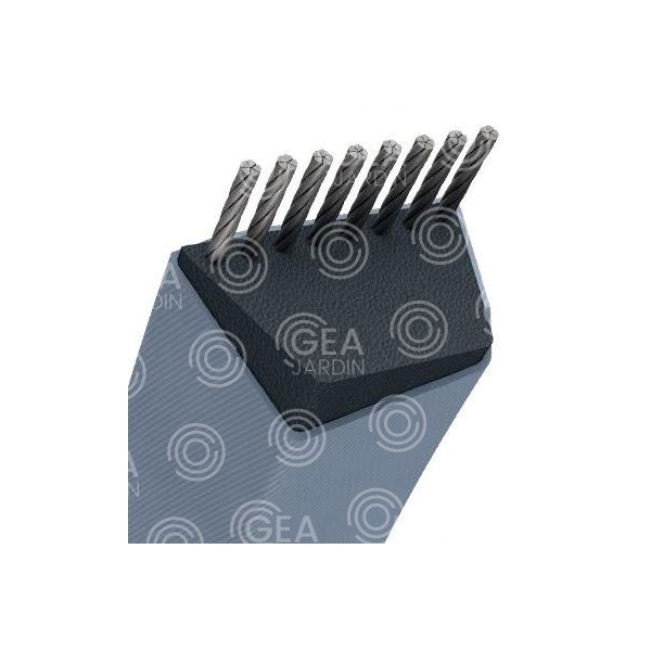 CORREA TRAPEZ.-10X8MM -Z24- 10 X 648MM