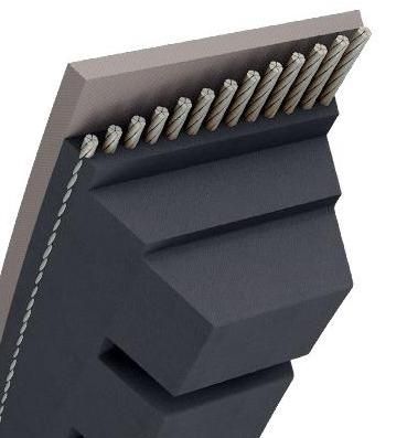 CORREA TRAPEZ.C/MUESCAS-17X11MM -BX 54- 17 X 1439MM