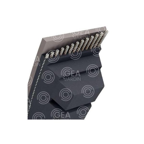 CORREA TRAPEZ.C/MUESCAS-17X11MM -BX 66- 17 X 1743MM