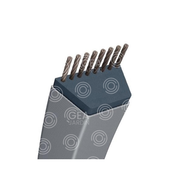 CORREA TRAP TRAD -ESPECÍFICA- 15,8X895MM8X895MM
