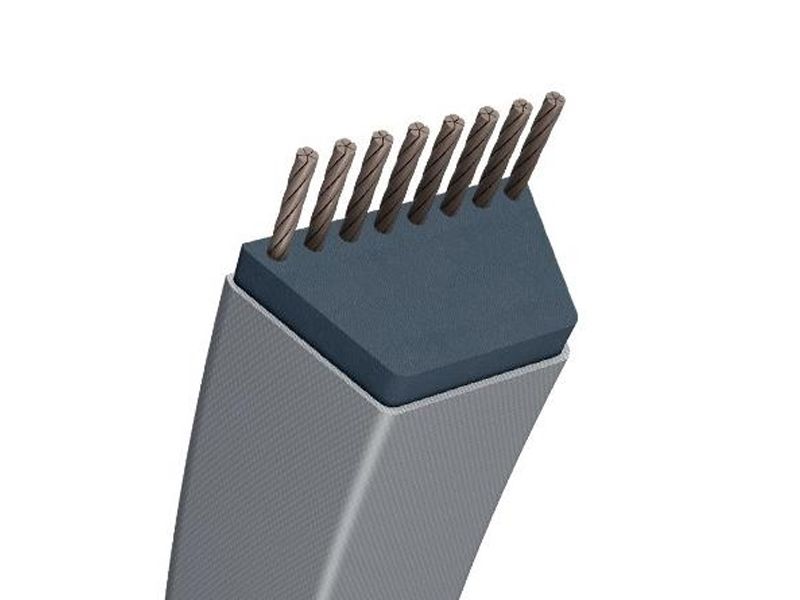 CORREA TRAP TRAD -ESPECÍFICA- 15,8X895MM8X895MM